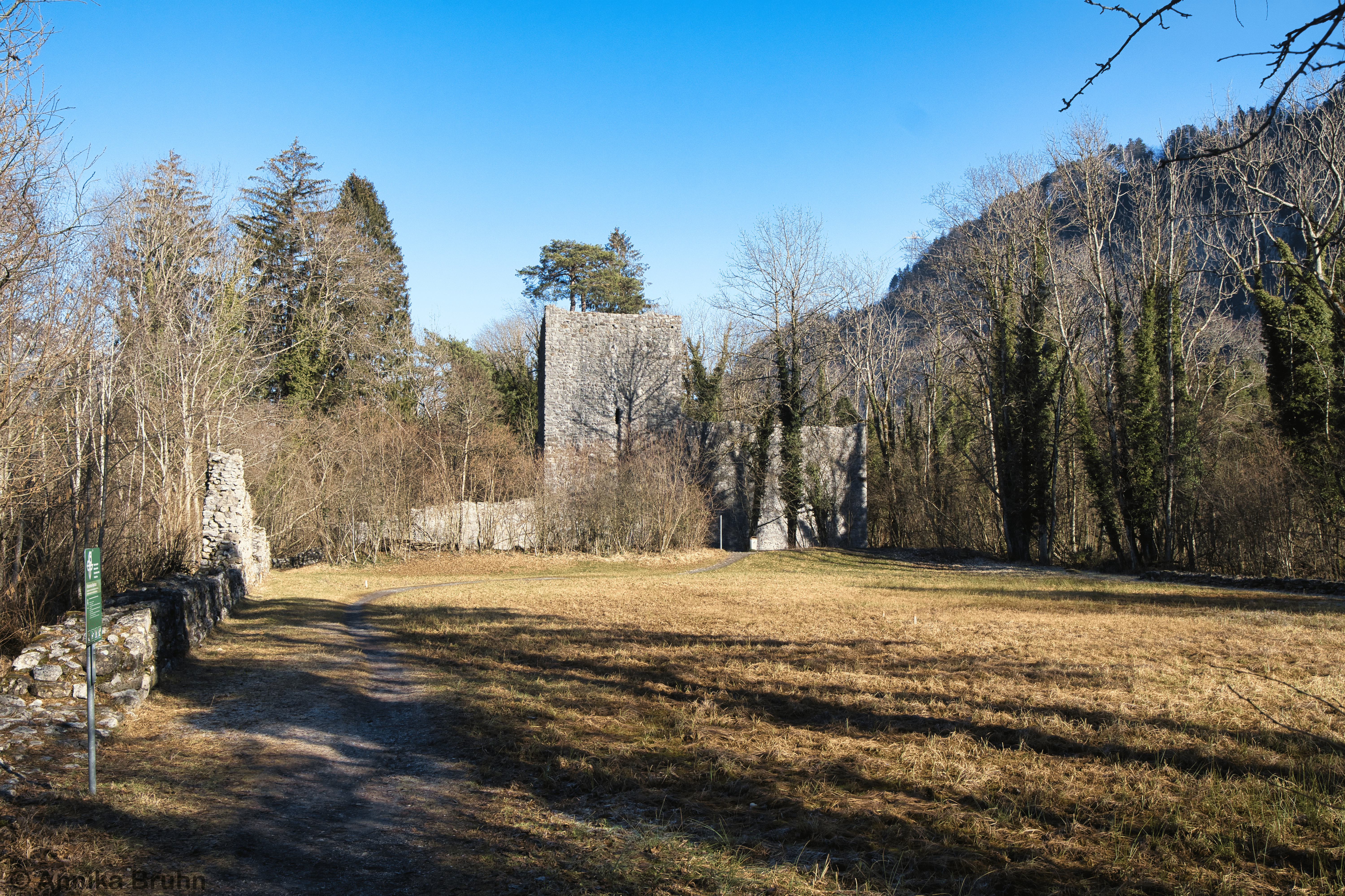 Ruine Weissenau
